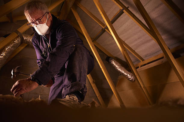 Best Home Insulation Services  in Phoenix Lake, CA
