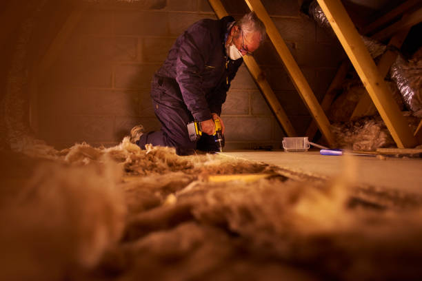 Best Professional Insulation Contractor  in Phoenix Lake, CA